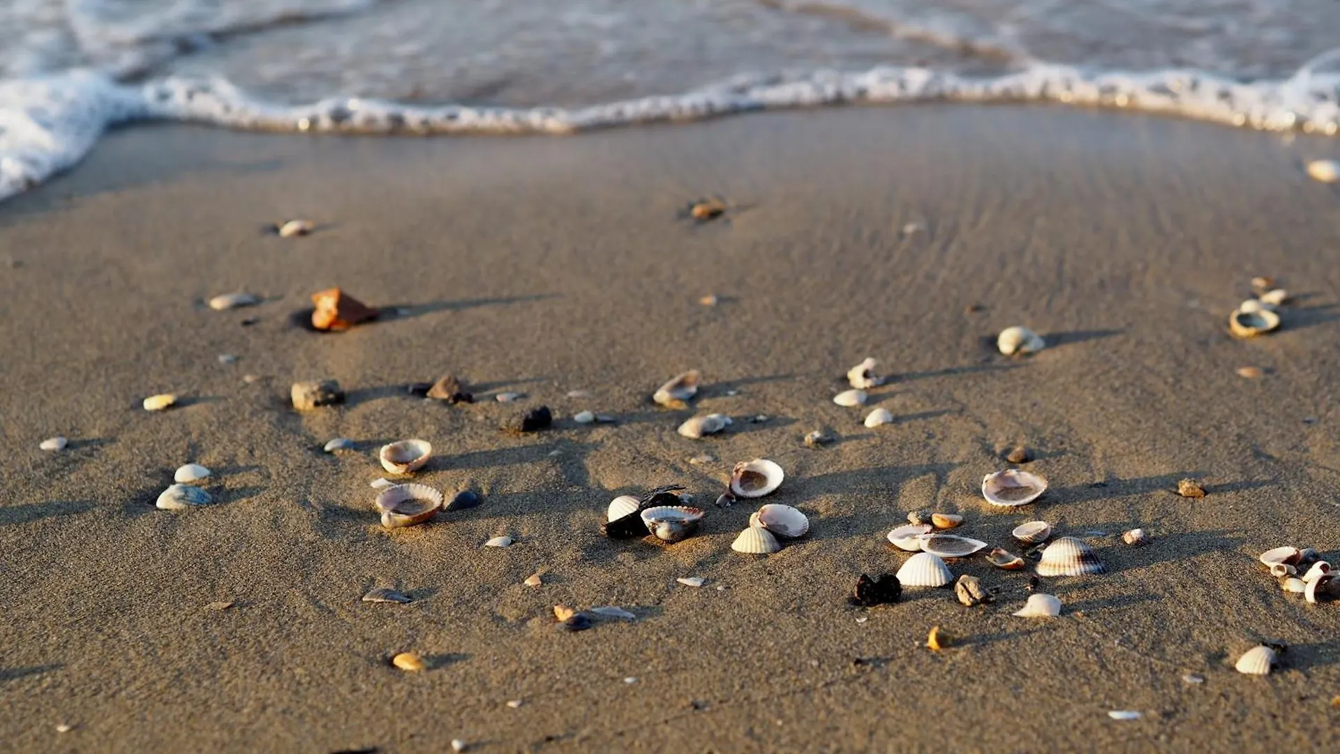 Coastal Comfort In Lido Del Sole With Sea View Bibione 0*,
